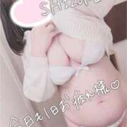 ヒメ日記 2025/11/10 17:15 投稿 しずね 兵庫姫路・加古川ちゃんこ