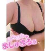 ヒメ日記 2025/11/24 18:40 投稿 しずね 兵庫姫路・加古川ちゃんこ