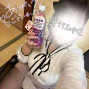 ヒメ日記 2025/12/12 15:15 投稿 しずね 兵庫姫路・加古川ちゃんこ