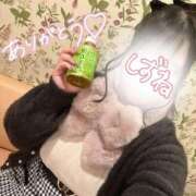 ヒメ日記 2025/12/29 16:05 投稿 しずね 兵庫姫路・加古川ちゃんこ