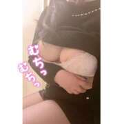 ヒメ日記 2025/12/29 17:15 投稿 しずね 兵庫姫路・加古川ちゃんこ