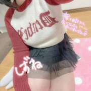 ヒメ日記 2026/01/16 07:15 投稿 しずね 兵庫姫路・加古川ちゃんこ