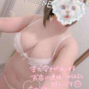 ヒメ日記 2026/01/27 14:45 投稿 しずね 兵庫姫路・加古川ちゃんこ