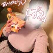 ヒメ日記 2026/02/19 22:49 投稿 しずね 兵庫姫路・加古川ちゃんこ