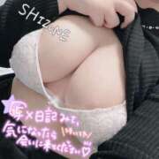 ヒメ日記 2026/02/23 12:06 投稿 しずね 兵庫姫路・加古川ちゃんこ