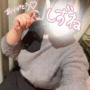 ヒメ日記 2026/03/14 21:15 投稿 しずね 兵庫姫路・加古川ちゃんこ