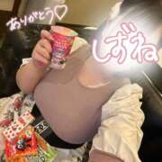 ヒメ日記 2026/04/05 20:05 投稿 しずね 兵庫姫路・加古川ちゃんこ