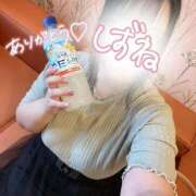 ヒメ日記 2026/07/11 11:30 投稿 しずね 兵庫姫路・加古川ちゃんこ