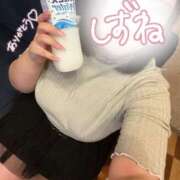 ヒメ日記 2026/08/22 12:44 投稿 しずね 兵庫姫路・加古川ちゃんこ
