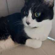 ヒメ日記 2025/04/29 13:25 投稿 ひより ムーランルージュ