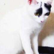 ヒメ日記 2025/11/17 19:34 投稿 ひより ムーランルージュ