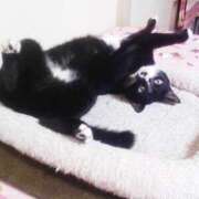 ひより 💚12/2〜12/5お休み💚 ムーランルージュ