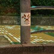 ヒメ日記 2026/01/11 03:12 投稿 ひより ムーランルージュ