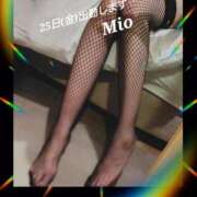 ヒメ日記 2025/07/23 06:44 投稿 みお 池袋おかあさん