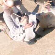 ヒメ日記 2026/02/06 07:39 投稿 みか プレイボーイ(八王子)