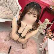 ヒメ日記 2025/10/27 10:42 投稿 まりも ジャパンクラブ富士