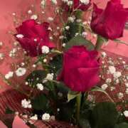 ヒメ日記 2026/02/17 10:04 投稿 一華/Ichika レジーナ