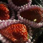 ヒメ日記 2026/03/23 14:44 投稿 一華/Ichika レジーナ