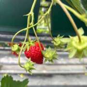 ヒメ日記 2026/04/09 09:14 投稿 一華/Ichika レジーナ