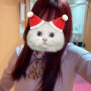 ふわり ⛩🌅🎍🐓❤️ 萌えカワ