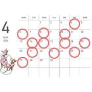 ヒメ日記 2026/04/01 00:18 投稿 みかん ハピネス＆ドリーム福岡