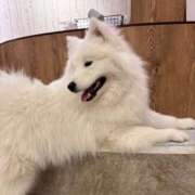 ヒメ日記 2026/04/10 12:38 投稿 みかん ハピネス＆ドリーム福岡