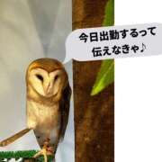 ヒメ日記 2026/04/12 10:08 投稿 みかん ハピネス＆ドリーム福岡