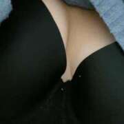 ヒメ日記 2025/04/17 19:07 投稿 もこ 所沢東村山ちゃんこ