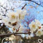 ちゆり ちゆりです💕 池袋あられ