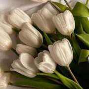 ヒメ日記 2025/05/20 21:41 投稿 香澄(かすみ) グランドオペラ横浜