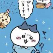 ヒメ日記 2025/05/03 17:24 投稿 あい ぷるりんクエスト上野浅草鶯谷秋葉原デリヘル王国