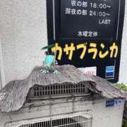 ヒメ日記 2025/07/13 10:52 投稿 あい ぷるりんクエスト上野浅草鶯谷秋葉原デリヘル王国