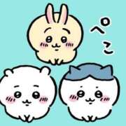 ヒメ日記 2025/04/12 00:52 投稿 もこ 西東京市小平ちゃんこ