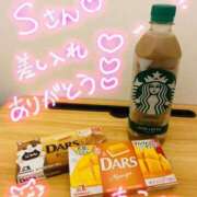 ヒメ日記 2025/04/12 21:31 投稿 もこ 西東京市小平ちゃんこ