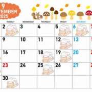 ヒメ日記 2025/08/26 20:56 投稿 川口おとは 多恋人倶楽部