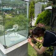 ヒメ日記 2025/09/10 07:59 投稿 ゆき 横浜風俗　寝取られたいオンナ達…生