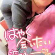 ヒメ日記 2026/03/08 16:45 投稿 ゆき 横浜風俗　寝取られたいオンナ達…生