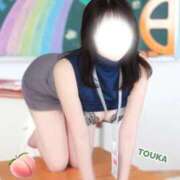 ヒメ日記 2026/03/28 10:20 投稿 とうか Sakura Spa