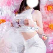 ヒメ日記 2026/04/01 10:20 投稿 とうか Sakura Spa