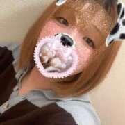 ヒメ日記 2025/04/12 02:32 投稿 てるは 香川サンキュー