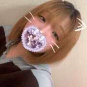 ヒメ日記 2025/04/13 04:32 投稿 てるは 香川サンキュー