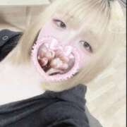 ヒメ日記 2025/06/03 12:42 投稿 てるは 香川サンキュー