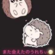 ヒメ日記 2025/06/23 06:42 投稿 てるは 香川サンキュー