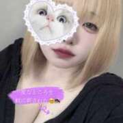 ヒメ日記 2025/07/19 16:52 投稿 てるは 香川サンキュー