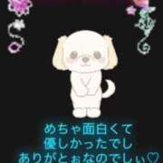 ヒメ日記 2025/07/22 08:32 投稿 てるは 香川サンキュー