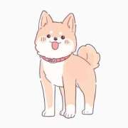 ヒメ日記 2025/09/26 22:32 投稿 てるは 香川サンキュー