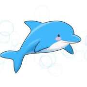 ヒメ日記 2025/09/26 22:42 投稿 てるは 香川サンキュー