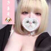 ヒメ日記 2025/11/07 01:55 投稿 てるは 香川サンキュー