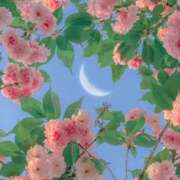 ヒメ日記 2026/07/20 00:02 投稿 てるは 香川サンキュー