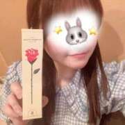 ヒメ日記 2025/05/14 12:42 投稿 なの 白いぽっちゃりさん